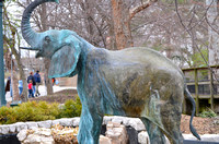 St. Louis Trip_200